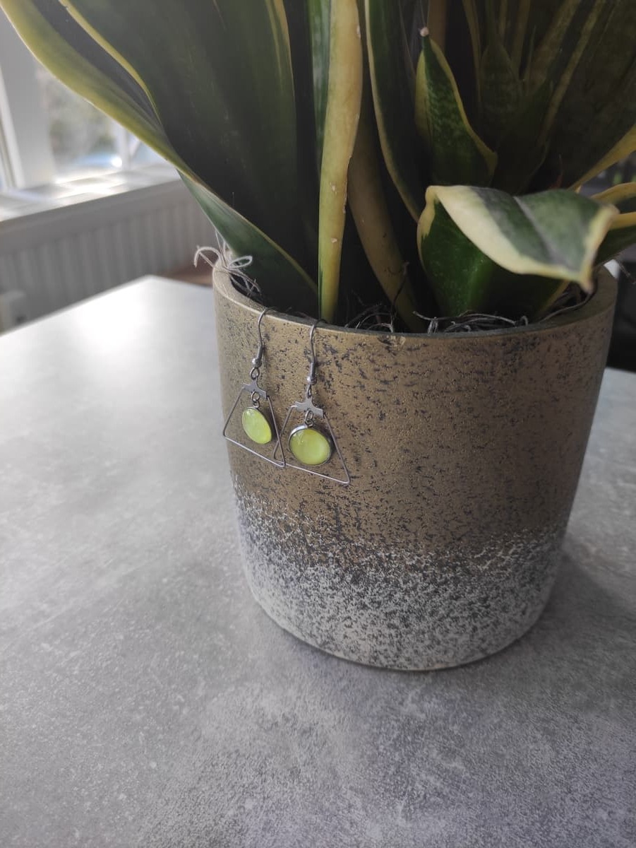 Ohrring Edelstahl hängend mit elegantem Rahmen