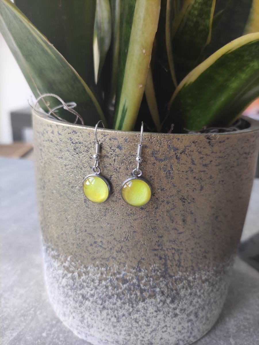 Ohrring Edelstahl hängend mit elegantem Rahmen