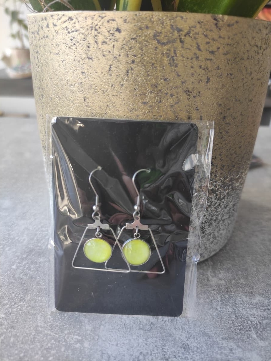 Ohrring Edelstahl hängend mit elegantem Rahmen